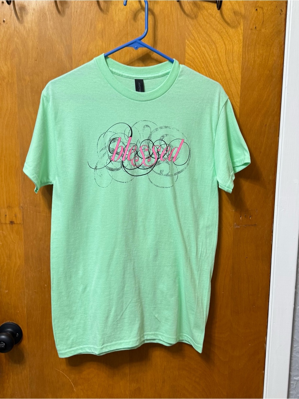 Gildan Men's Mint Green Graphic Tee with Pink 'blessed' Script